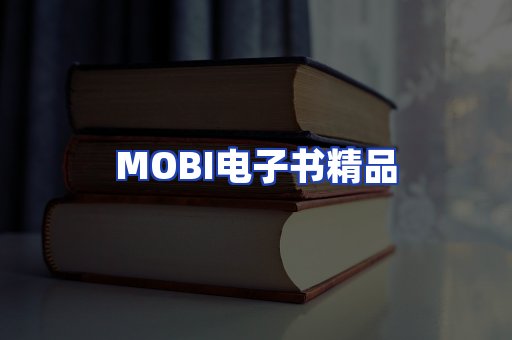 外文电子书产品